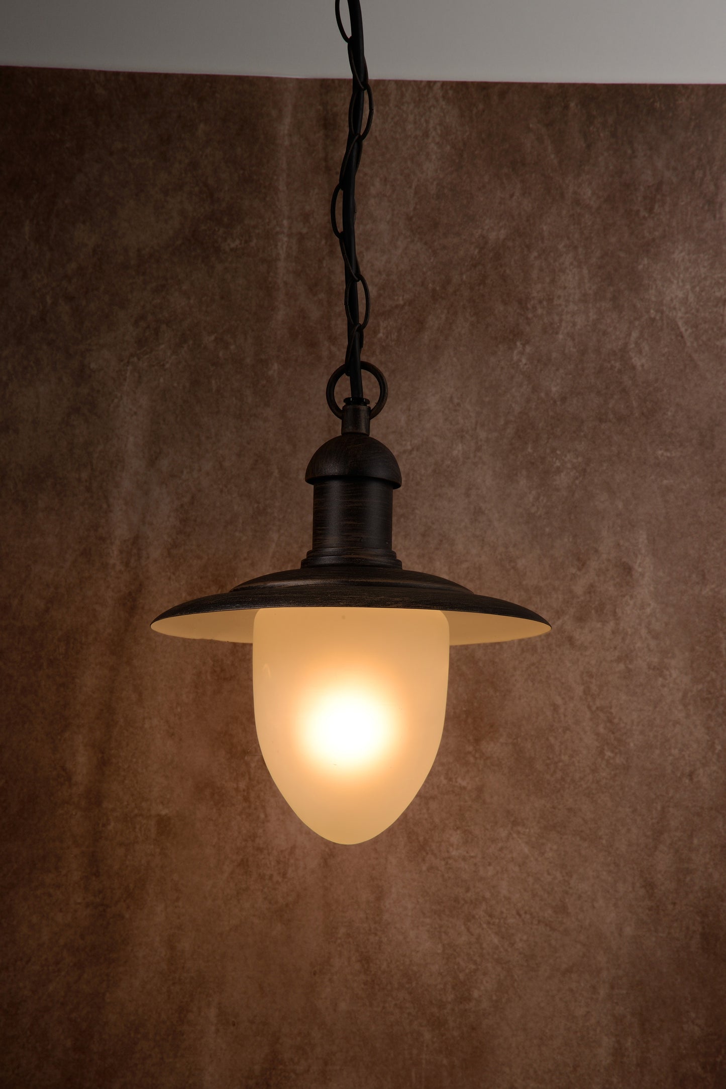 Lucide Aruba Lámpara Colgante de Exterior