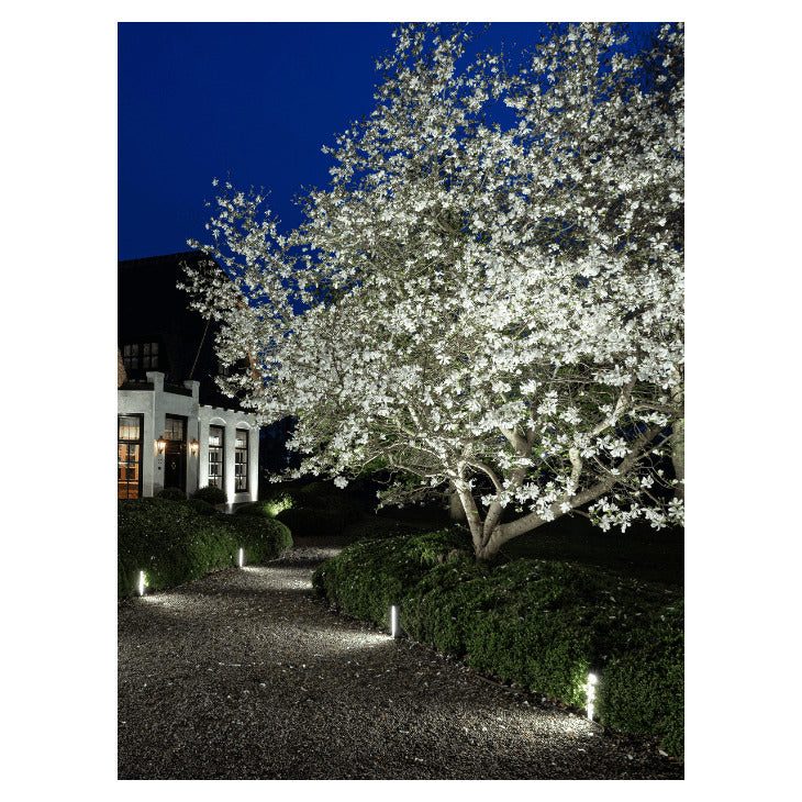 In-Lite SCOPE BIG SCOPE Focus de Terra Exterior