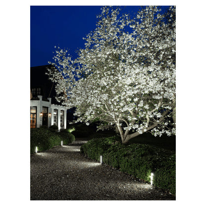 In-Lite SCOPE BIG SCOPE Focus de Terra Exterior