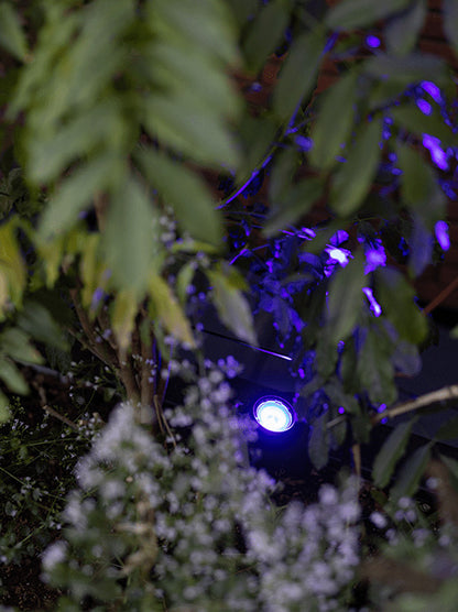 In-Lite SCOPE SMART SCOPE TONE Focus Encastat de Terra