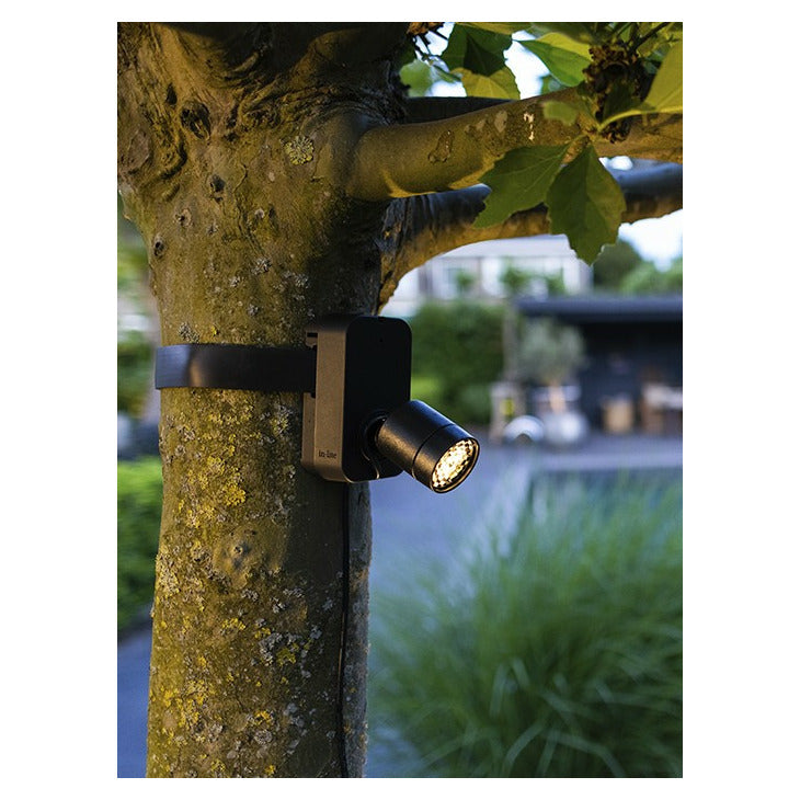 In-Lite BRACE BAND Accessori de Muntatge