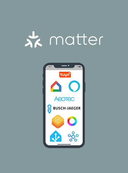 In-Lite SMART Bridge Passarel·la de Domòtica