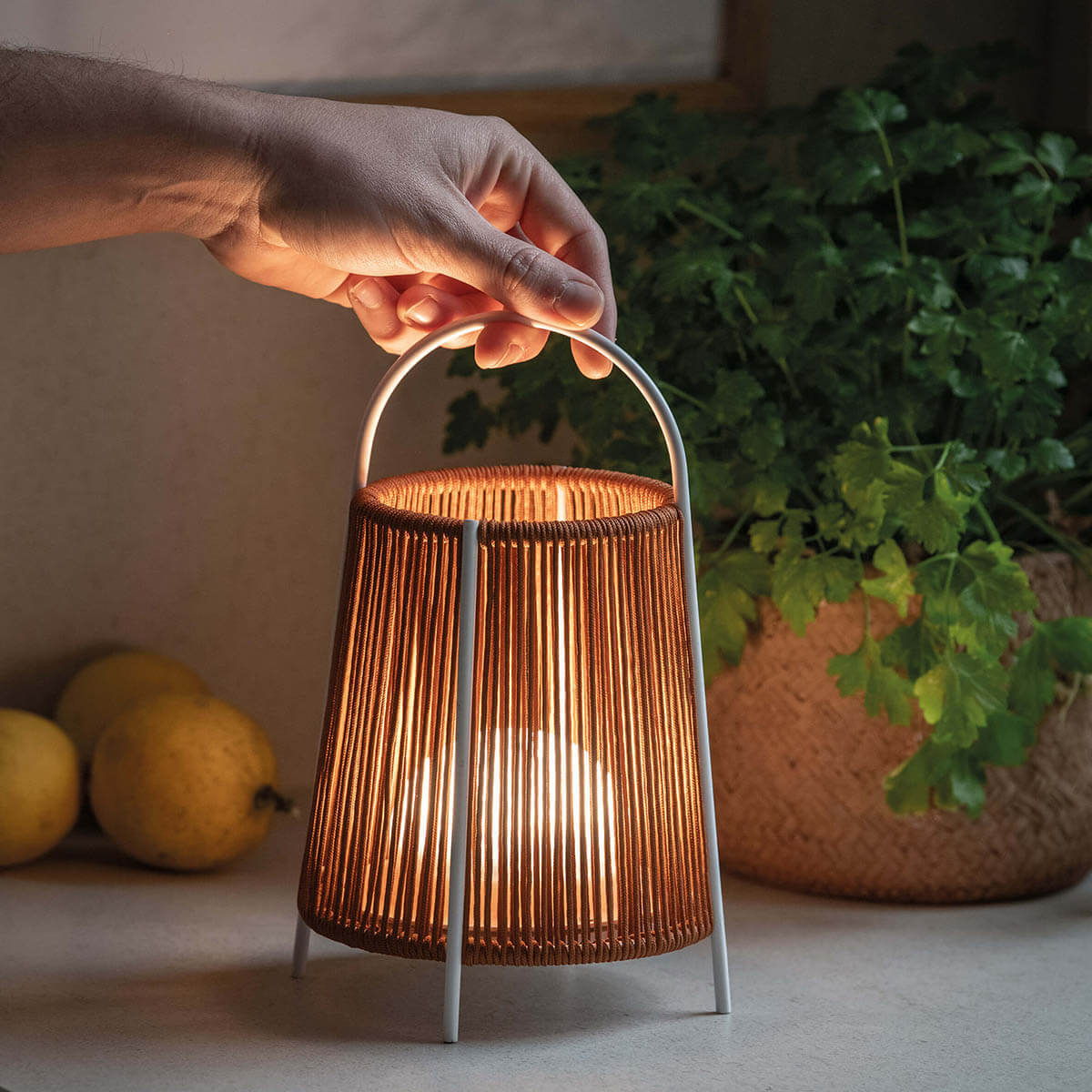 Ole Lighting Allegra Llanterna Portàtil d'Exterior
