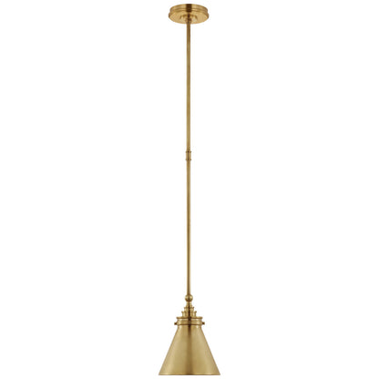 Visual Comfort Parkington Pendant de Chapman & Myers