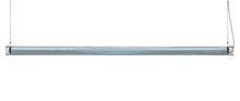 LZF Lens Linear Pendant by Mayice